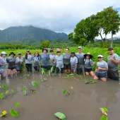 Group of volunteers in grey shirts work in a muddy, plant-filled field with lush trees and misty mountains in the background.