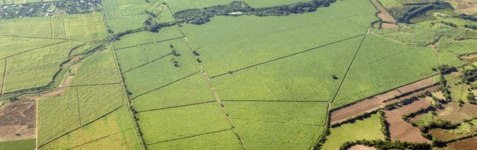 Green farmland from the air