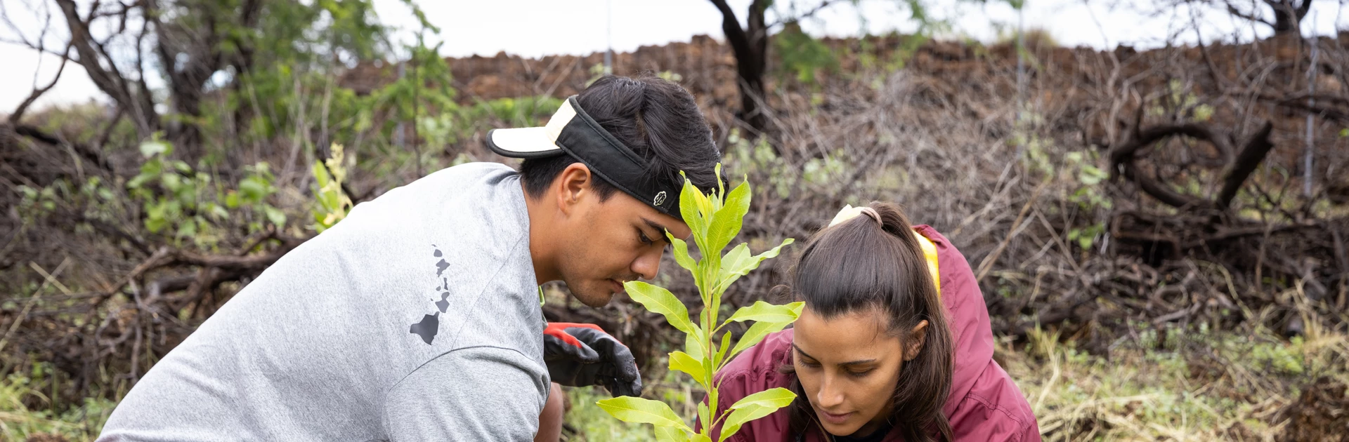 community partnership planting