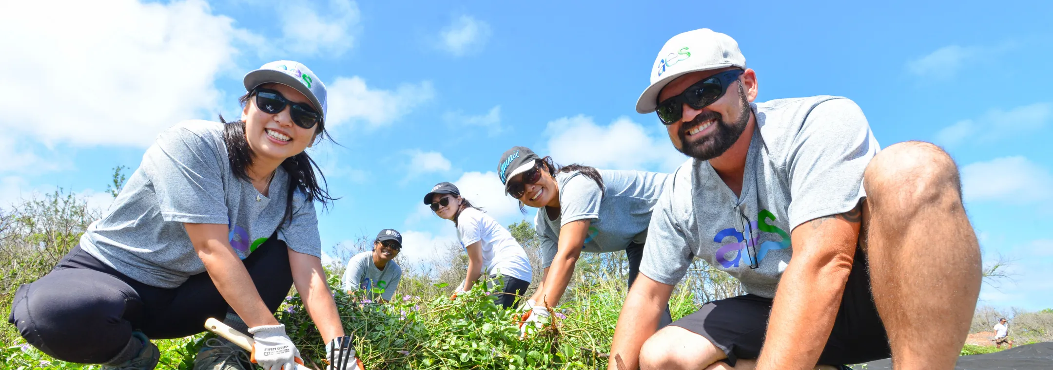 Volunteers wearing gloves garden outdoors under a blue sky, using tools to remove weeds and tend to plants in a green, sunny setting.