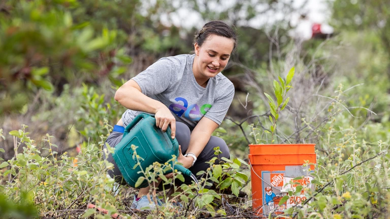 woman watering plant