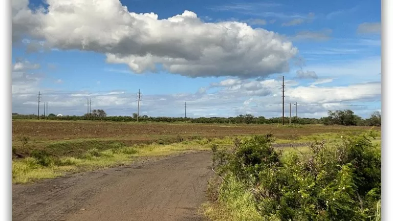 kuihelani20mw_interconnection_mpp-waena