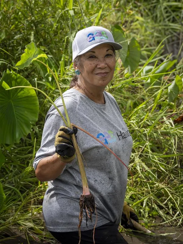 A woman wearing a gray shirt and cap stands in a lush green area, holding a freshly harvested taro plant with roots exposed. She is wearing gardening gloves and smiling at the camera.