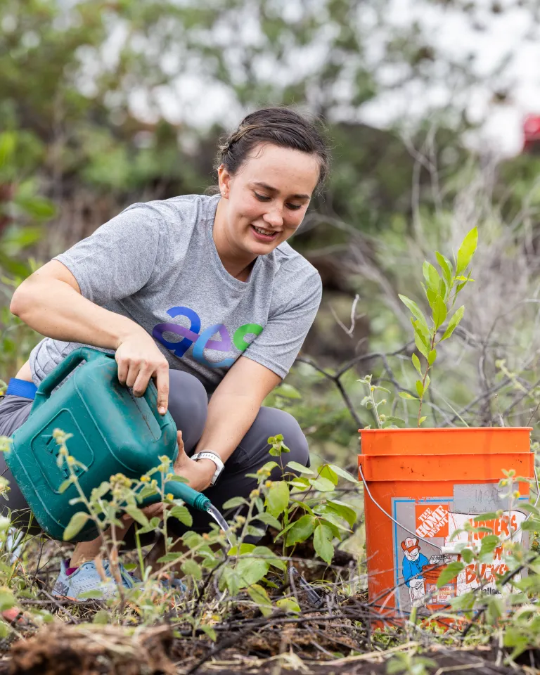 Individual waters plants with a green can in a lush outdoor area, next to an orange bucket, surrounded by greenery and small vegetation.