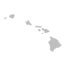 Icon - Hawaii islands